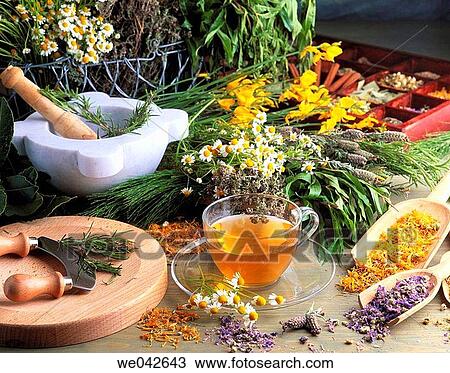 Herbal tea, infusion View Large Photo Image Stock Image - Herbal tea, infusion. Fotosearch