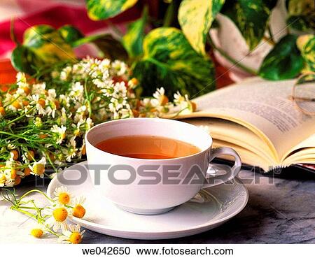 Herbal tea, infusion View Large Photo Image Stock Image - Herbal tea, infusion. Fotosearch