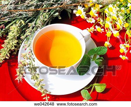 Herbal tea, infusion View Large Photo Image Stock Photo - Herbal tea, infusion. Fotosearch