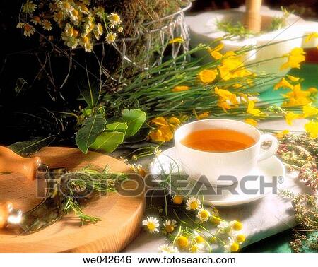 Herbal tea, infusion View Large Photo Image Stock Photograph - Herbal tea, infusion. Fotosearch