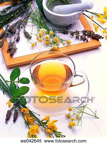 Herbal tea, infusion View Large Photo Image Stock Photography - Herbal tea, infusion. Fotosearch