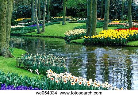 Keukenhof gardens. Lisse, Netherlands View Large Photo Image Picture - Keukenhof gardens. Lisse, Netherlands. Fotosearch