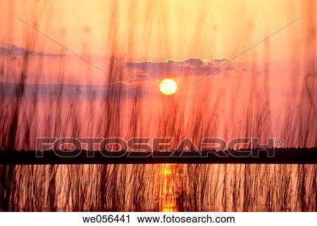 Lake Zuvintas. Lithuania View Large Photo Image Stock Image - Lake Zuvintas. Lithuania. Fotosearch