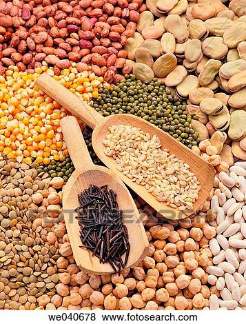 Stock Photo - Legumes and grain. Fotosearch