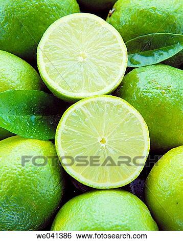 Limes View Large Photo Image Stock Photograph - Limes. Fotosearch