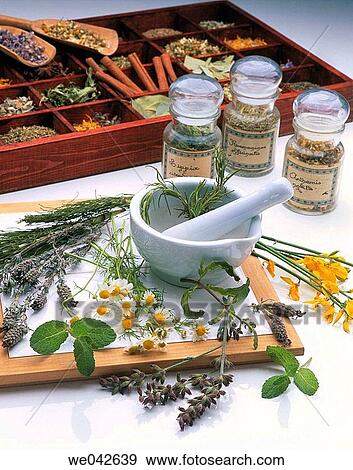 Medicinal herbs View Large Photo Image Stock Photo - Medicinal herbs. Fotosearch