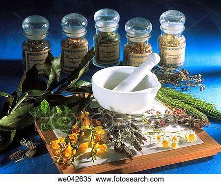 Medicinal herbs View Large Photo Image Stock Photography - Medicinal herbs. Fotosearch
