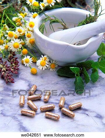Medicinal plant pills View Large Photo Image Stock Image - Medicinal plant pills. Fotosearch