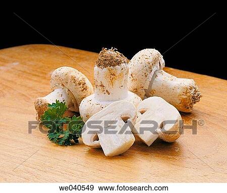 Mushrooms View Large Photo Image Stock Photo - Mushrooms. Fotosearch