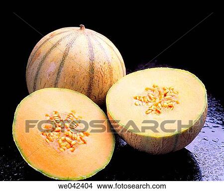 Muskmelon View Large Photo Image Picture - Muskmelon. Fotosearch