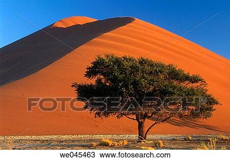 Namib desert, Namib-Naukluft National Park. Namibia View Large Photo Image Stock Image - Namib desert, Namib-Naukluft National Park. Namibia. Fotosearch