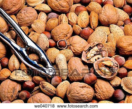 Stock Photo - Nuts. Fotosearch