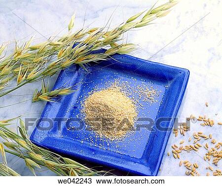 Oat germ View Large Photo Image Stock Image - Oat germ. Fotosearch