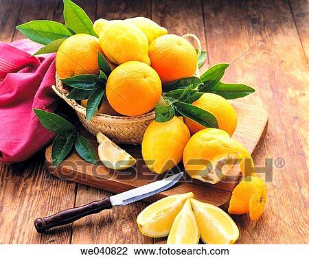 Oranges and lemons View Large Photo Image Stock Image - Oranges and lemons. Fotosearch