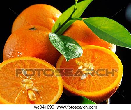 Stock Photo - Oranges. Fotosearch