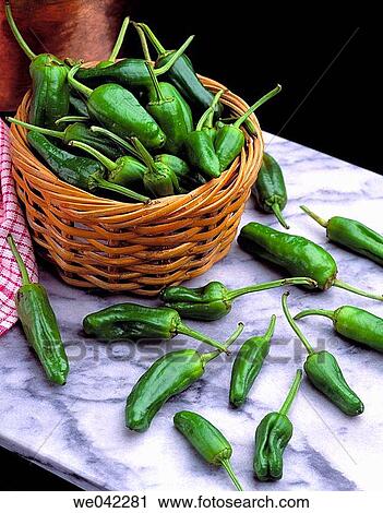 Padr? n little green peppers View Large Photo Image Stock Image - Padr? n little green peppers. Fotosearch