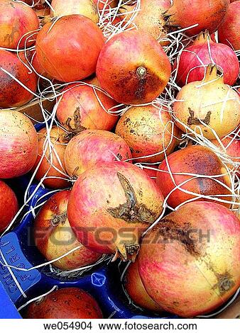 Pomegranates View Large Photo Image Picture - Pomegranates. Fotosearch