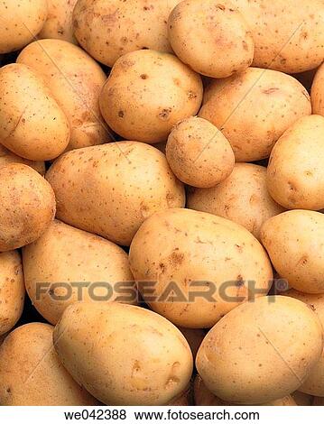 Potatoes View Large Photo Image Stock Photo - Potatoes. Fotosearch