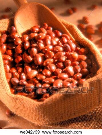 Red beans View Large Photo Image Stock Photo - Red beans. Fotosearch