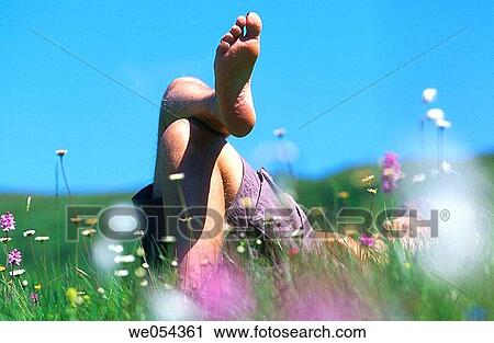 Relaxing in meadow. Germany View Large Photo Image Stock Image - Relaxing in meadow. Germany. Fotosearch