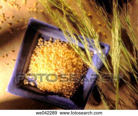 Rice View Large Photo Image Stock Photo - Rice. Fotosearch