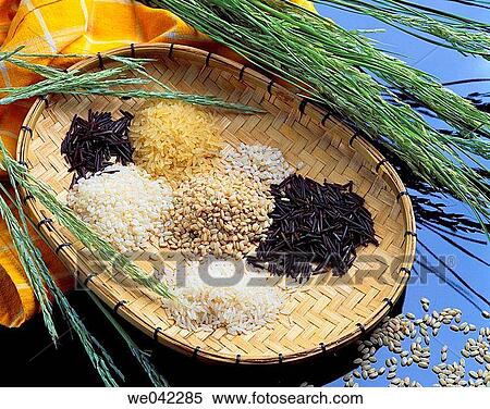 Rice View Large Photo Image Stock Photography - Rice. Fotosearch