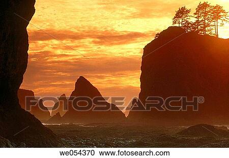 Stock Image - Rocks, Olympic National Park. Washington, USA. Fotosearch