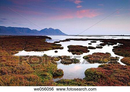 Salt marshes, Cabo de Gata-N? jar Biosphere Reserve. Almer? a province, Andalusia, Spain View Large Photo Image Stock Photograph - Salt marshes, Cabo de Gata-N? jar Biosphere Reserve. Almer? a province, Andalusia, Spain. Fotosearch
