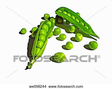 Picture - Sugar Snap Peas.. Fotosearch
