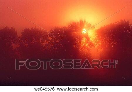 Sunbeams coming through fog and tree. Bavaria, Germany View Large Photo Image Stock Photograph - Sunbeams coming through fog and tree. Bavaria, Germany. Fotosearch