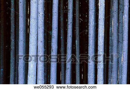 Trunks, Bavaria, Germany View Large Photo Image Stock Image - Trunks, Bavaria, Germany. Fotosearch