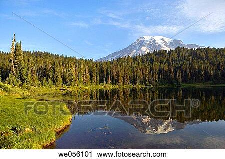 View of Mt. Rainier from Reflection Lake in Mt. Rainier National Park. Washington, USA View Large Photo Image Stock Image - View of Mt. Rainier from Reflection Lake in Mt. Rainier National Park. Washington, USA. Fotosearch