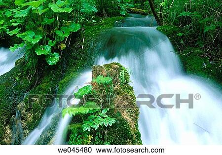 Waterfall, Plitvice Lakes National Park. Croatia View Large Photo Image Stock Image - Waterfall, Plitvice Lakes National Park. Croatia. Fotosearch