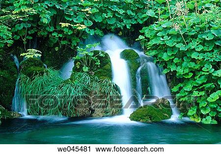 Waterfall, Plitvice Lakes National Park. Croatia View Large Photo Image Stock Image - Waterfall, Plitvice Lakes National Park. Croatia. Fotosearch