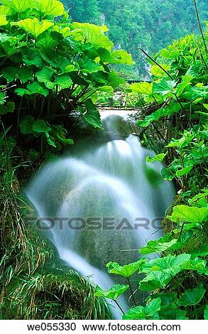 Waterfall. Plitvice Lakes National Park. Croatia View Large Photo Image Stock Image - Waterfall. Plitvice Lakes National Park. Croatia. Fotosearch