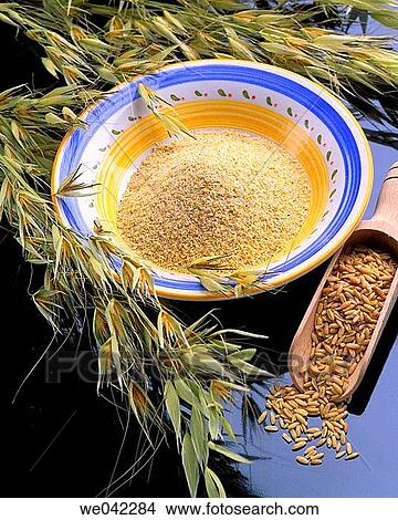 Wheat germ View Large Photo Image Picture - Wheat germ. Fotosearch