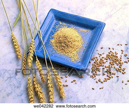 Wheat germ View Large Photo Image Stock Image - Wheat germ. Fotosearch