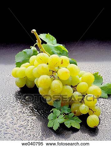 Stock Photography - White grapes. Fotosearch