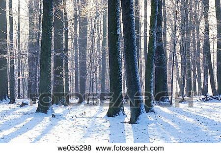 Winter. Bavaria. Germany View Large Photo Image Stock Photo - Winter. Bavaria. Germany. Fotosearch