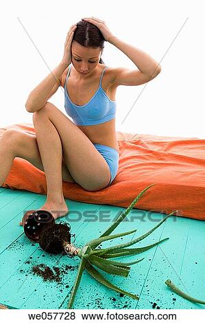 aloe vera, brunette, barefoot, aloe View Large Photo Image Stock Photo - aloe vera, brunette, barefoot, aloe. Fotosearch