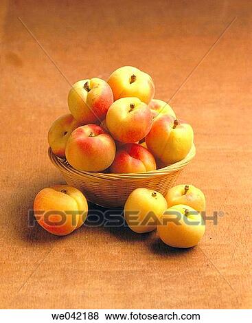 Apricots View Large Photo Image Stock Photo - Apricots. Fotosearch
