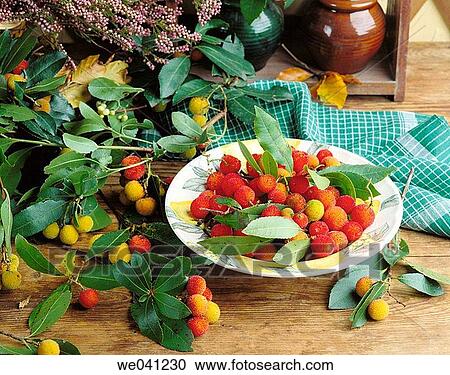 Arbutus berries View Large Photo Image Stock Image - Arbutus berries. Fotosearch