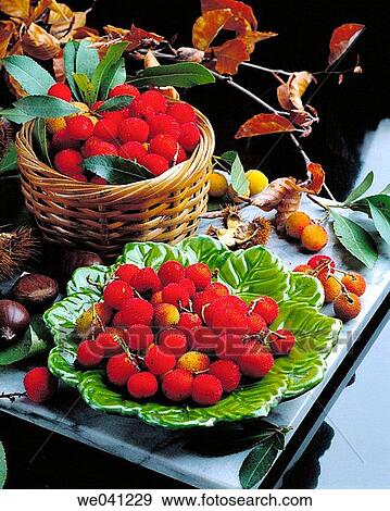 Stock Photo - Arbutus berries. Fotosearch