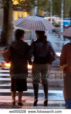 back view, chat, city, contemporary View Large Photo Image Stock Photo - back view, chat, city, contemporary. Fotosearch