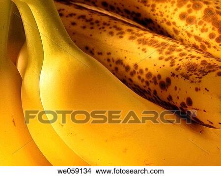 Bananas View Large Photo Image Picture - Bananas. Fotosearch