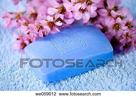 Bar of soap, Bars of soap, bathroom, blue, Body care, Close-up View Large Photo Image Stock Image - Bar of soap, Bars of soap, bathroom, blue, Body care, Close-up. Fotosearch