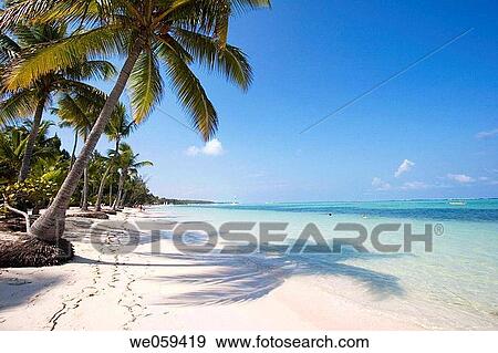 Bavaro beach, Punta Cana, Dominican Republic View Large Photo Image Stock Photo - Bavaro beach, Punta Cana, Dominican Republic. Fotosearch