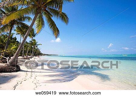 Stock Photograph Of Bavaro Beach Punta Cana Dominican Republic Bavaro Beach Punta Cana Dominican Republic