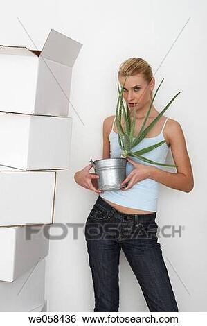 blond, aloe vera View Large Photo Image Stock Photograph - blond, aloe vera. Fotosearch