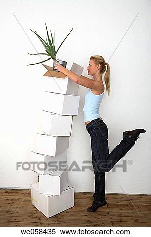 blond, aloe vera View Large Photo Image Stock Photography - blond, aloe vera. Fotosearch